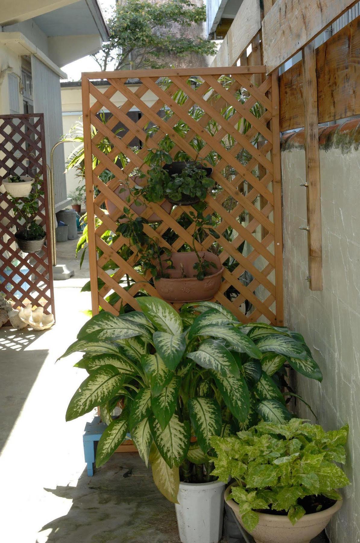 Accommodation Limited To One Group Per Day Yukuiru Miyakojima  Exterior foto