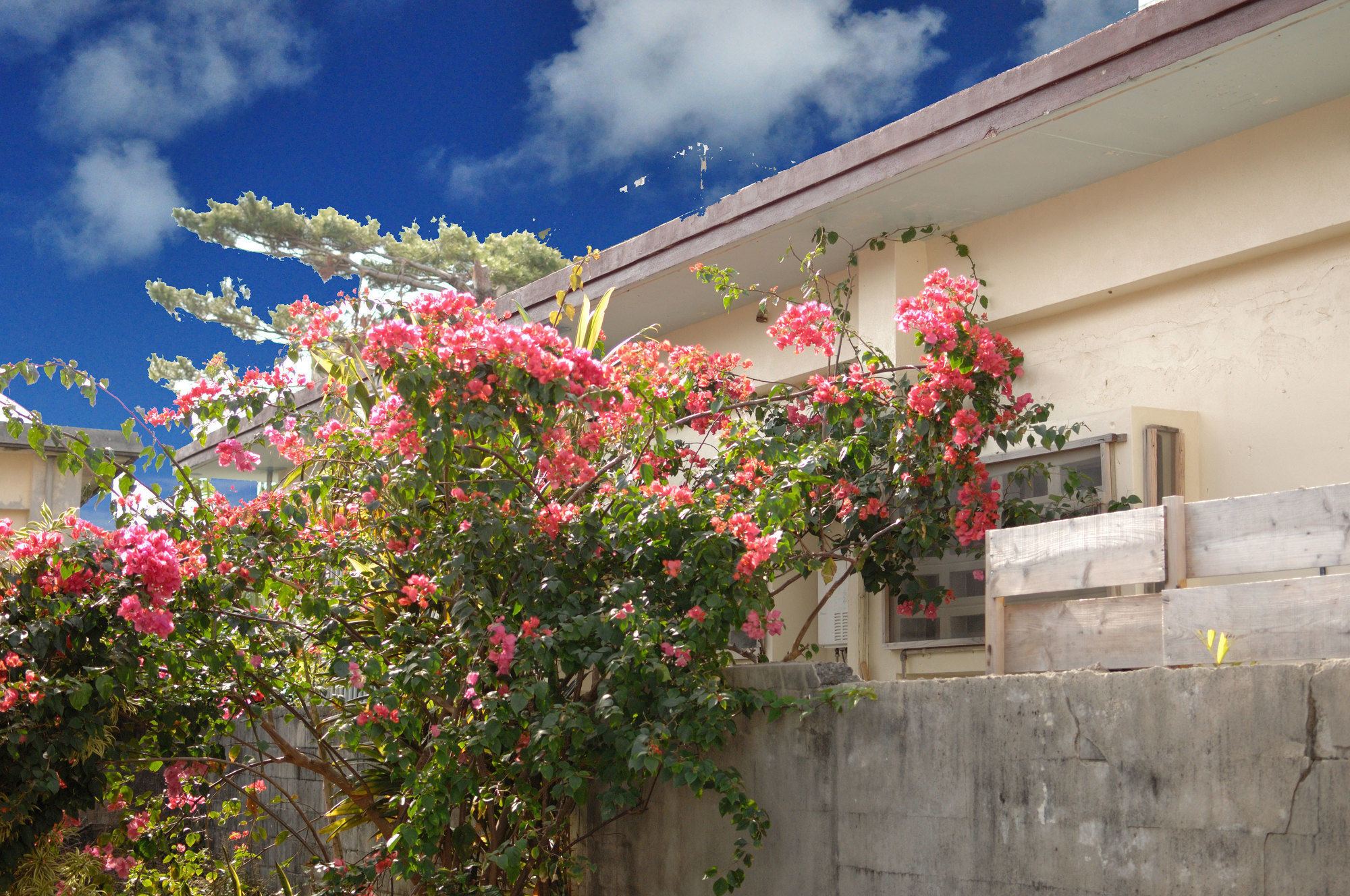 Accommodation Limited To One Group Per Day Yukuiru Miyakojima  Exterior foto