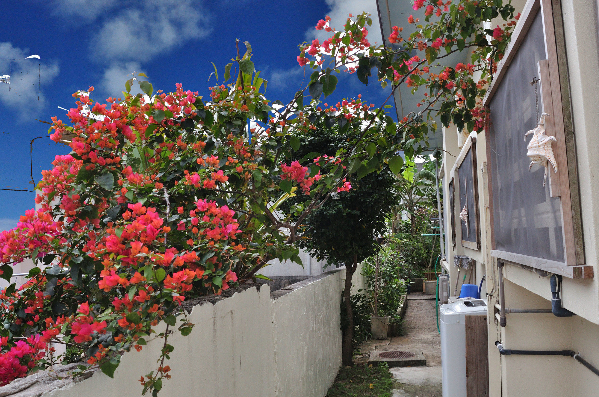 Accommodation Limited To One Group Per Day Yukuiru Miyakojima  Exterior foto